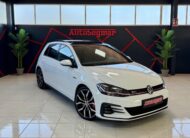 VOLKSWAGEN GOLF GTI PERFORMANCE