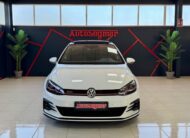 VOLKSWAGEN GOLF GTI PERFORMANCE