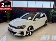 VOLKSWAGEN GOLF GTI PERFORMANCE